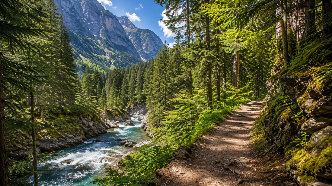 Forest trail beside a turquoise mountain stream with evergreen trees and steep peaks on the Avalanche Lake route in Glacier National Park.